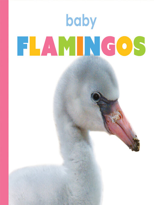 Title details for Baby Flamingos by Kate Riggs - Available